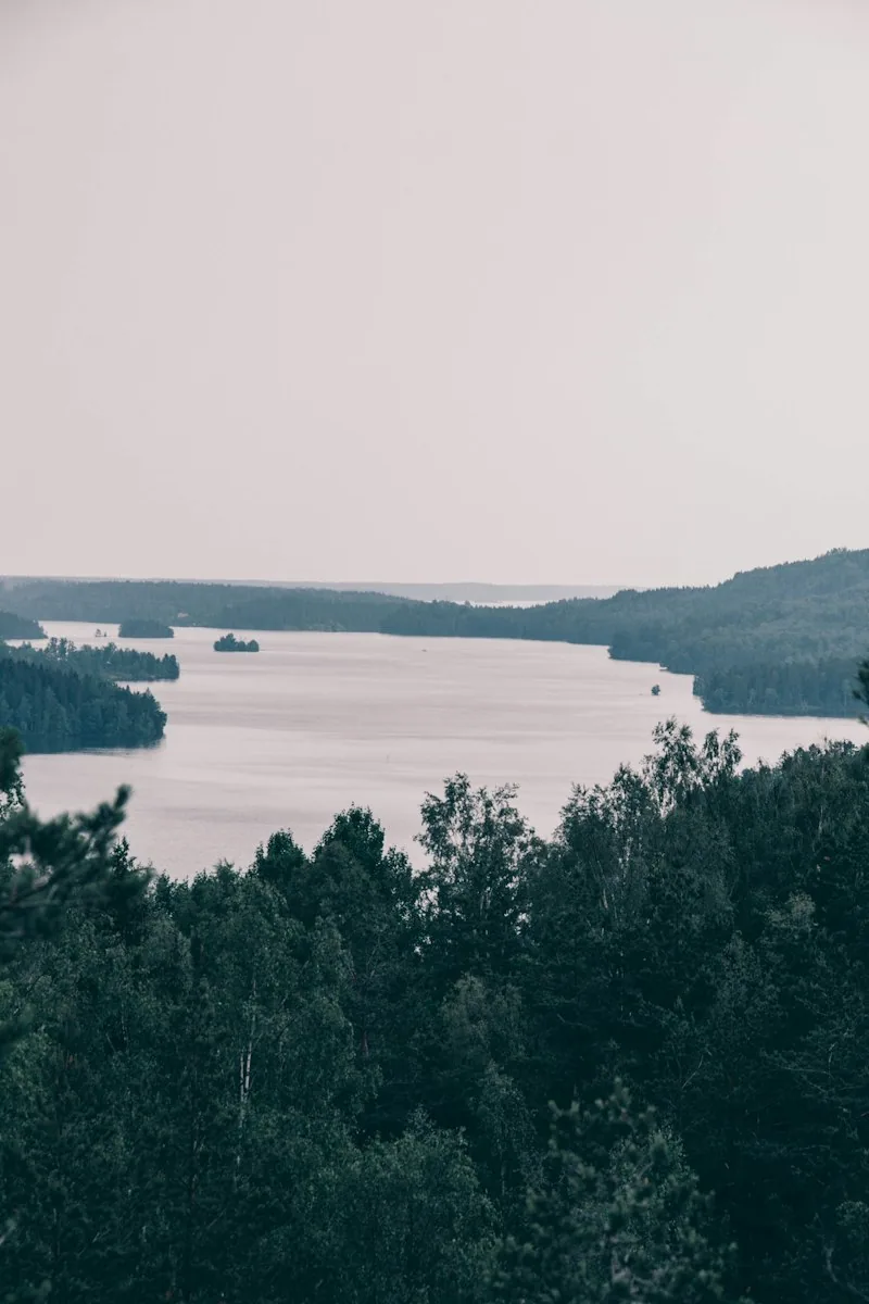 Blick über einen See in Dalsland, bewaldete Ufer und kleine Inseln