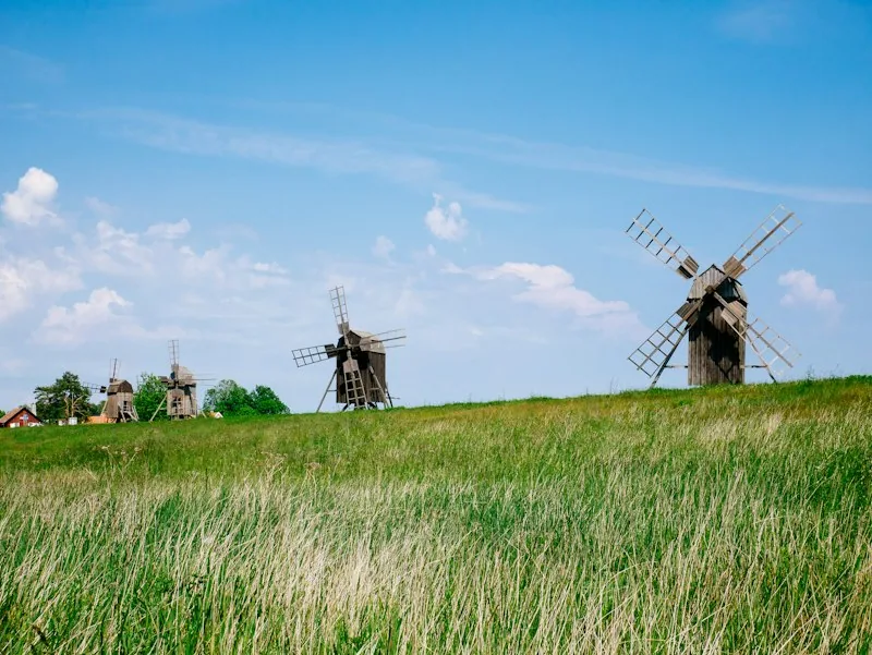 Holzwindmühlen auf einer Wiese auf Öland, hohes Gras, blauer Himmel