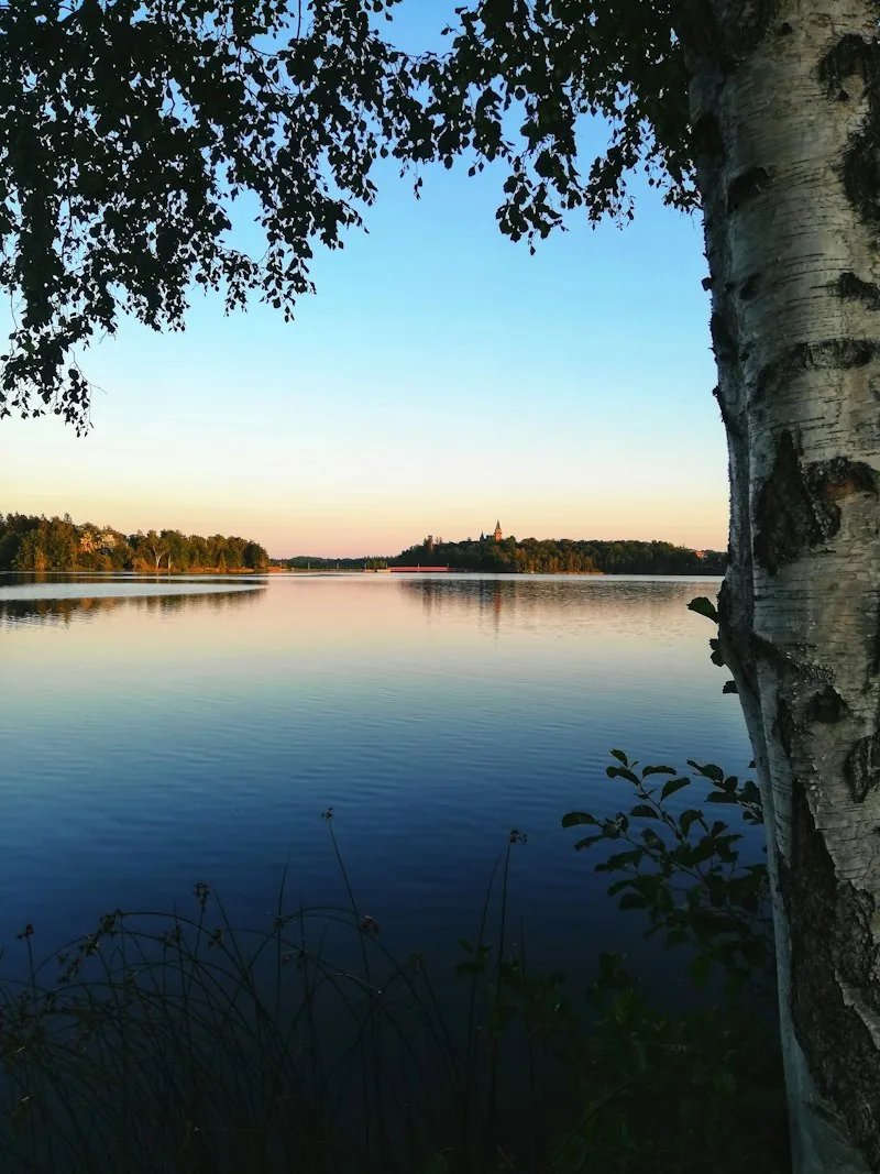 Ruhiger See im Abendlicht bei Växjö, Wald am Ufer, ein Birkenstamm im Vordergrund