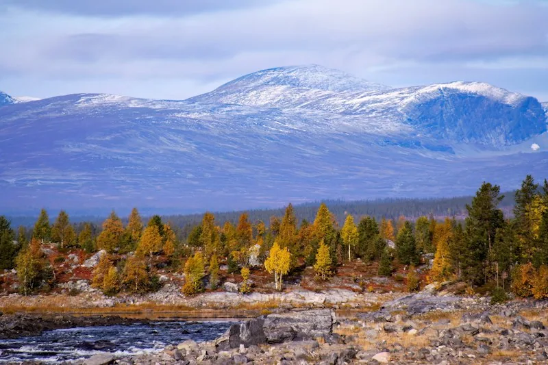 Schneebedeckte Berge in Jämtland, davor Herbstwald und ein Fluss