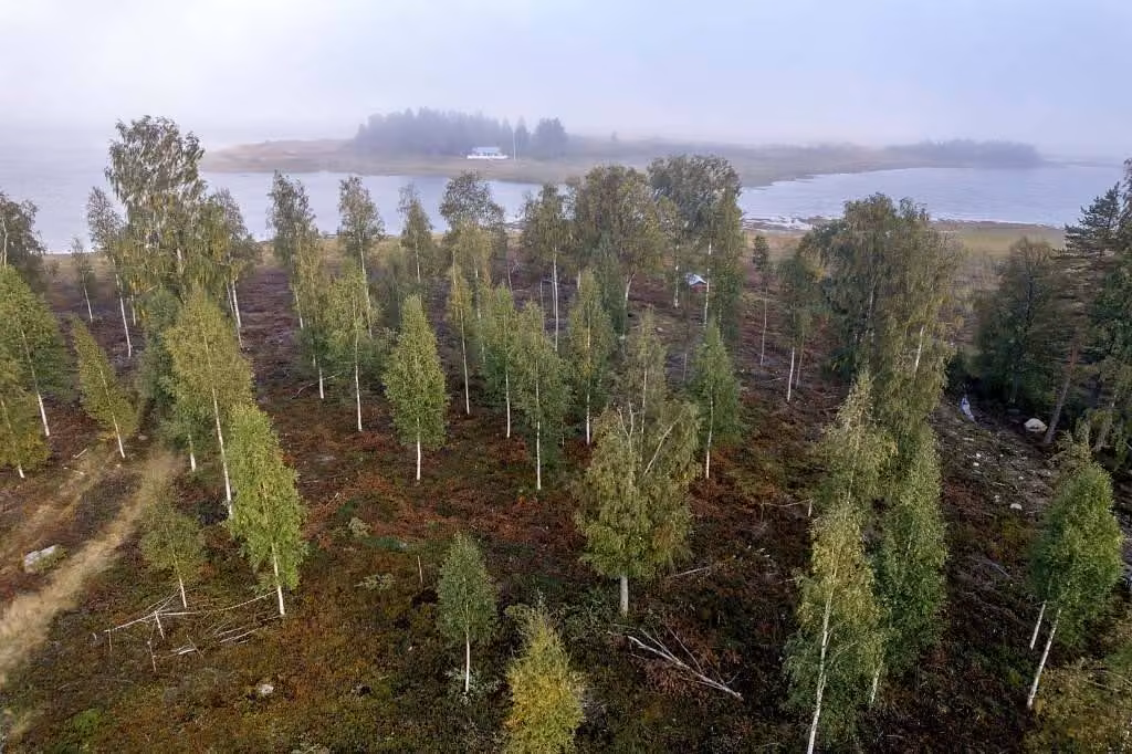 Baugrundstück mit Meerblick bei Piteå