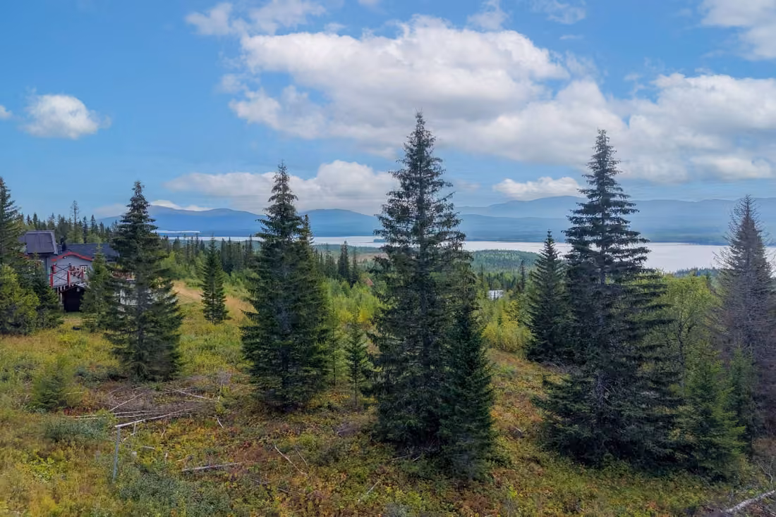 Südgrundstück mit Blick auf See und Fjäll