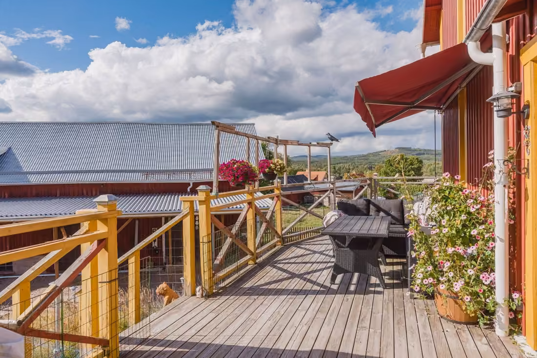 Hof in Björka mit Weitblick