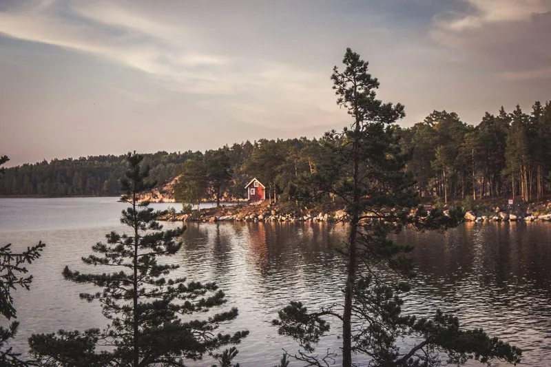 Rote Holzhütte auf einer Landzunge an einem See, Kiefern im Vordergrund, Abendlicht über dem Wasser